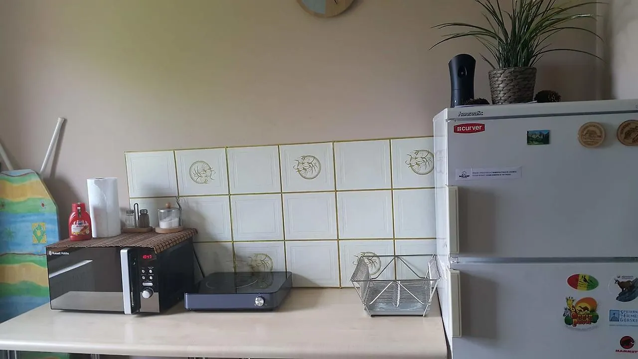 Homestay Base Camp Zakopane Apartment